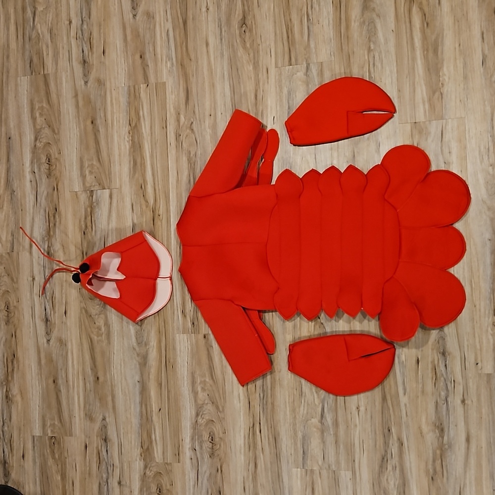 Lobster Crab Costume